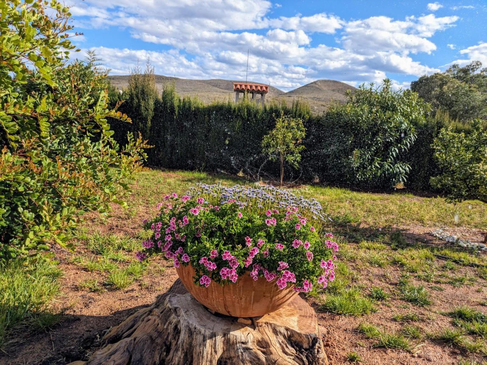 Villa Buen Estar, Piscina, Barbacoa, Jacuzzi En Valencia à Turís Extérieur photo